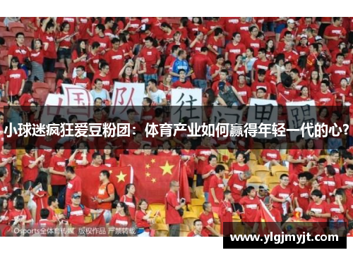 小球迷疯狂爱豆粉团:体育产业如何赢得年轻一代的心?